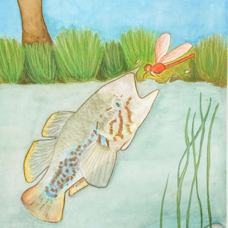 Epic kits explore play imagine create. Small world play, sensory play. Gus the Southern purple spotted gudgeon book. Extinct fish. Fish breeding programs. Wetlands, billabongs. Endangered native fish.