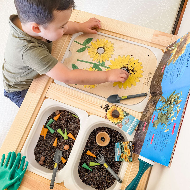 epic-kits-small-world-sensory-play-ideas-toddler-play-ikea-flisat-table-trofast-insert-felt-balls-flisat-table-inserts-australia-flisat-trofast-tub-inserts-sunflower-seed